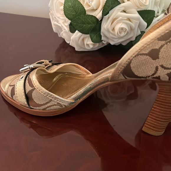 Heel. - Picture 2 of 7